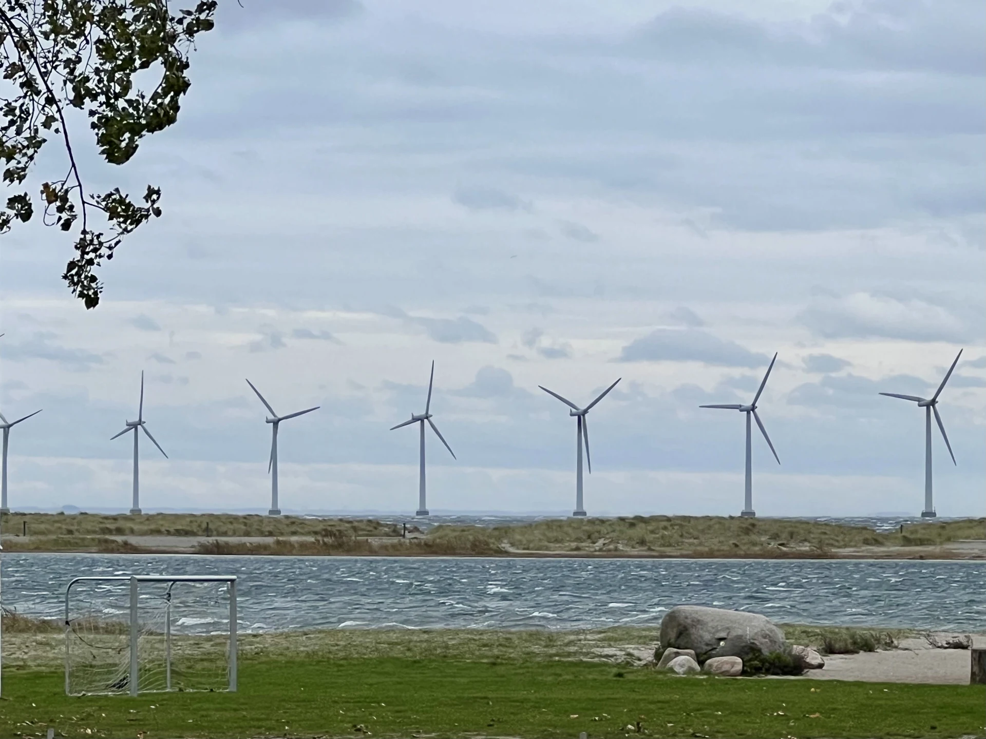 Wind turbines along the water with grass in the foreground.