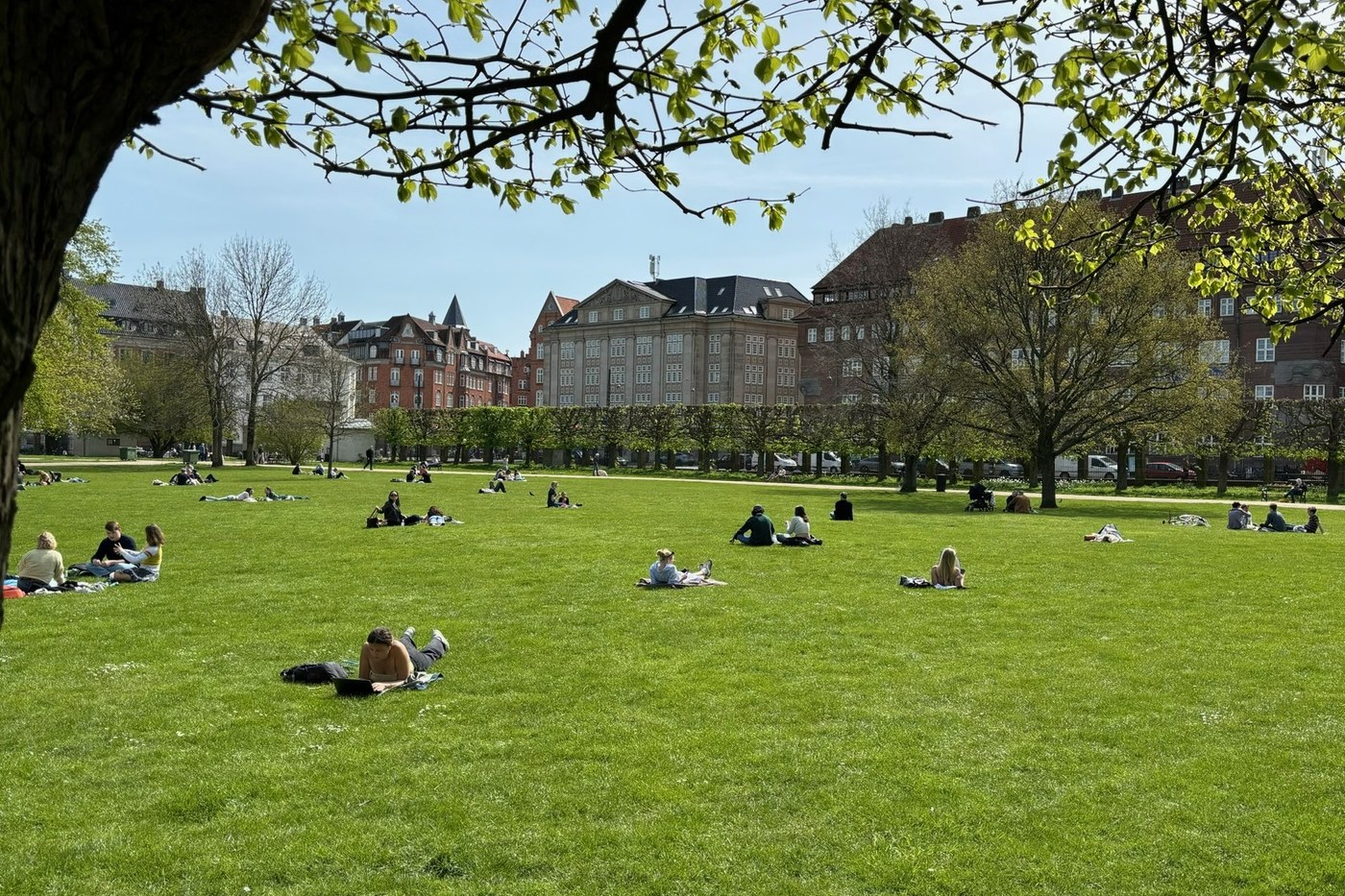 People in a green park in Copenhagen